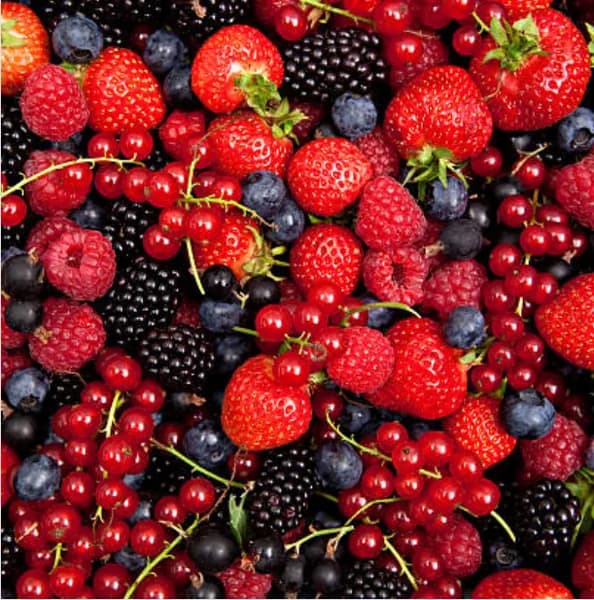 Pulpa de Frutos Rojos